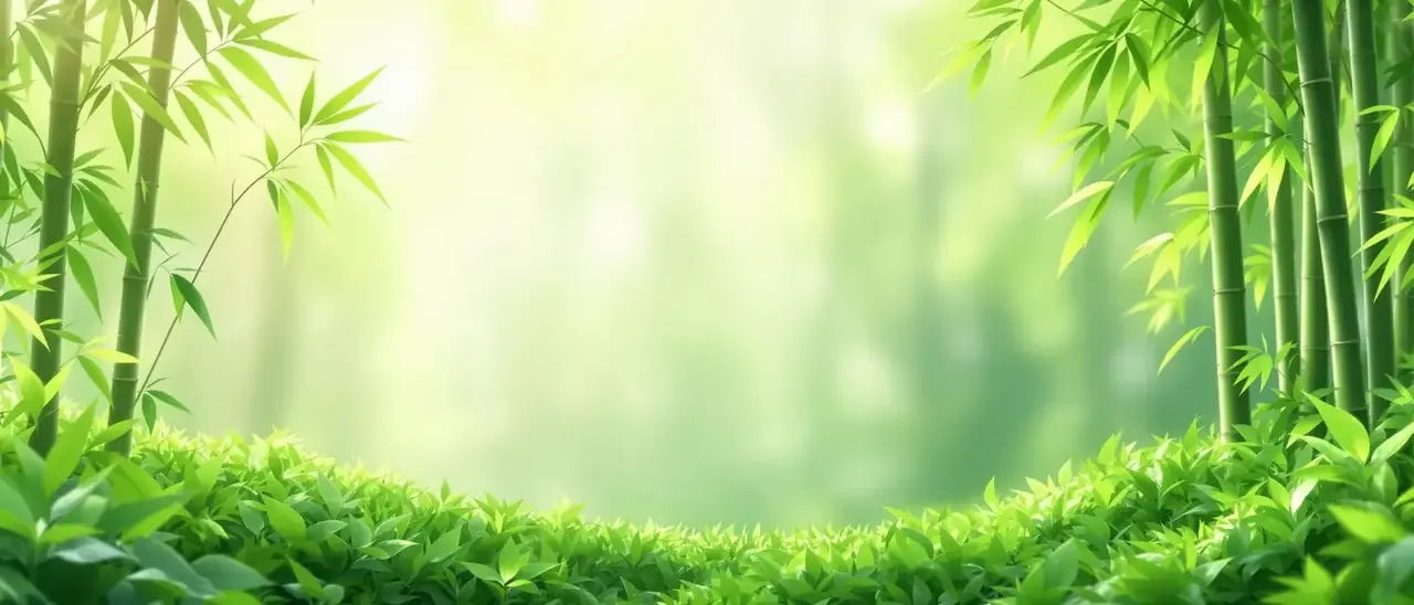 果冻电影网 · 清新佳作 页面背景